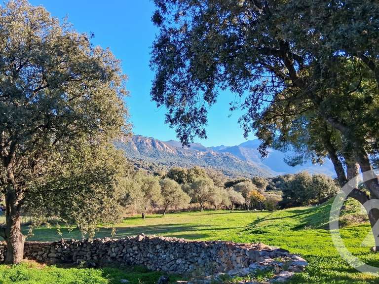 Maison Montegrosso - 3 chambres - 150m²