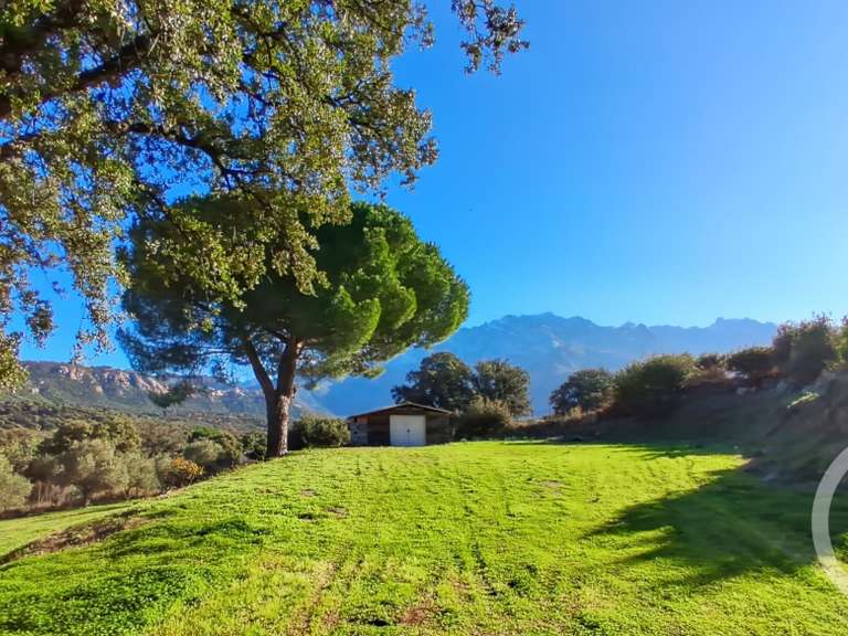 Maison Montegrosso - 3 chambres - 150m²