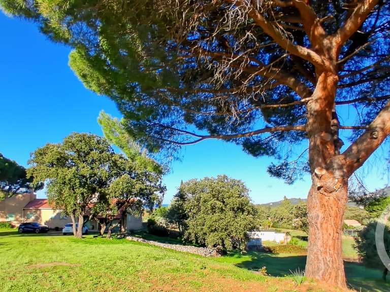 Maison Montegrosso - 3 chambres - 150m²