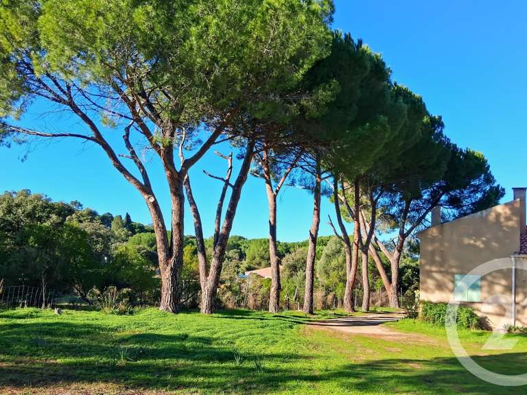 Maison Montegrosso - 3 chambres - 150m²