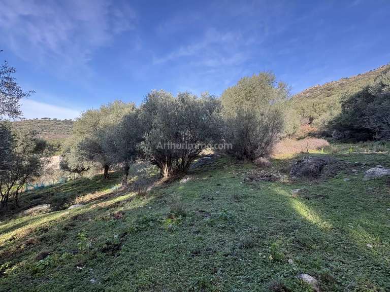 Terrain Montegrosso - 5040m²