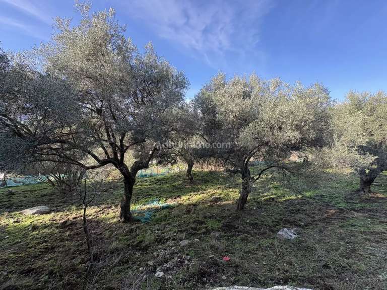 Terrain Montegrosso - 5040m²