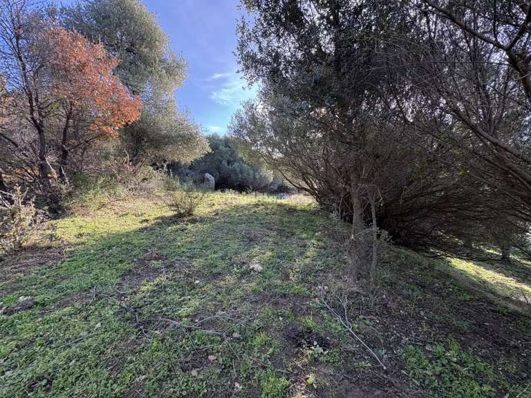 Terrain Montegrosso - 5040m²