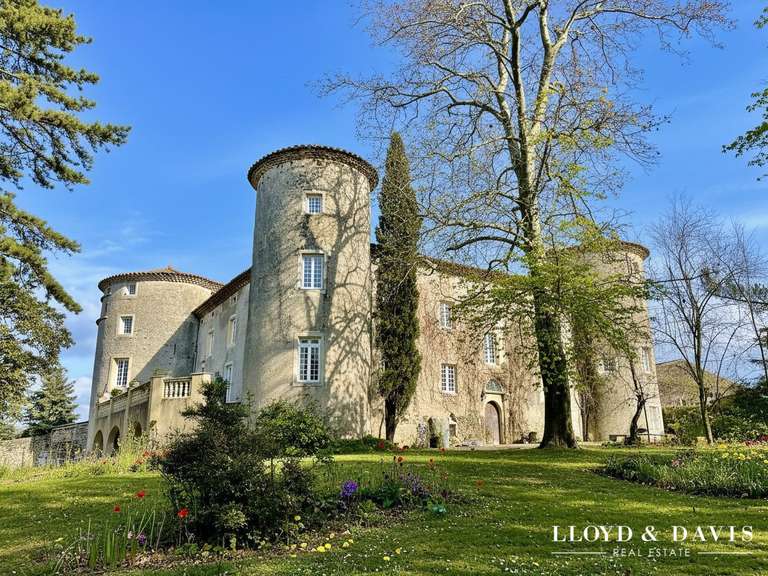 Château Montélimar - 16 chambres - 1560m²
