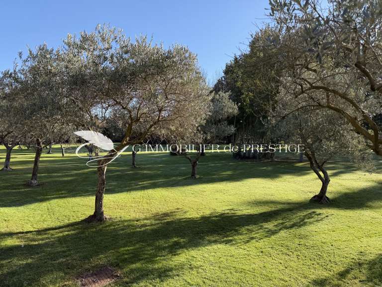 Maison Monteux - 4 chambres - 275m²