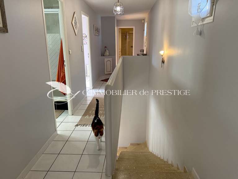 Maison Monteux - 4 chambres - 275m²