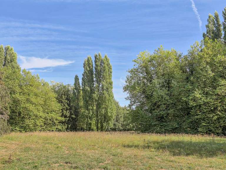 Maison Montfort-l'Amaury - 5 chambres - 450m²