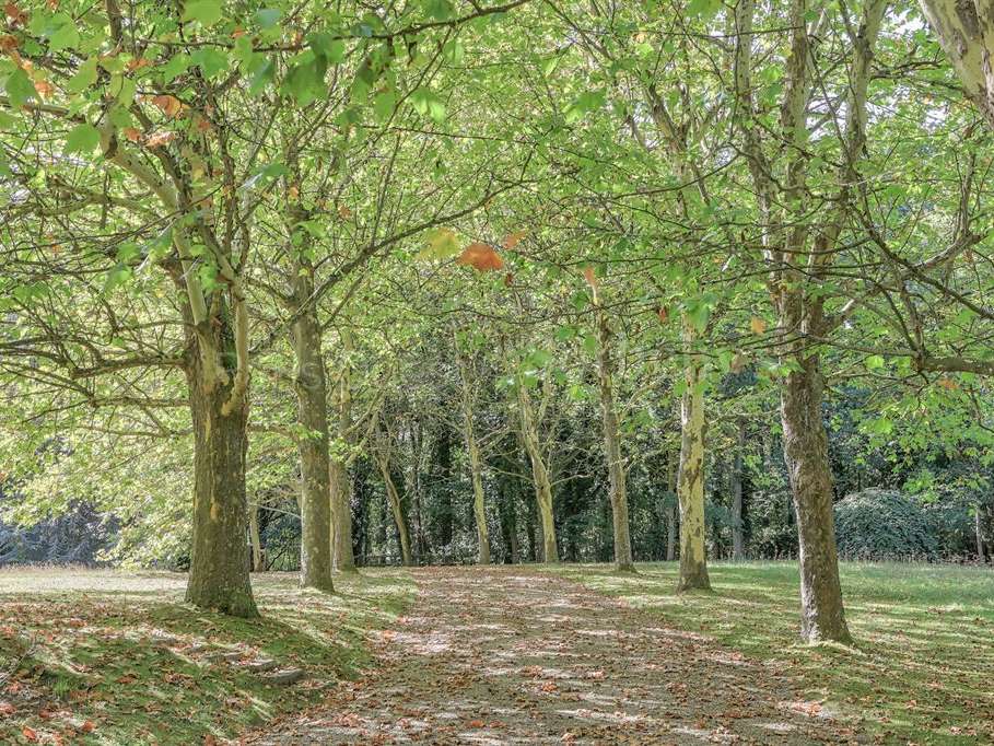 House Montfort-l'Amaury