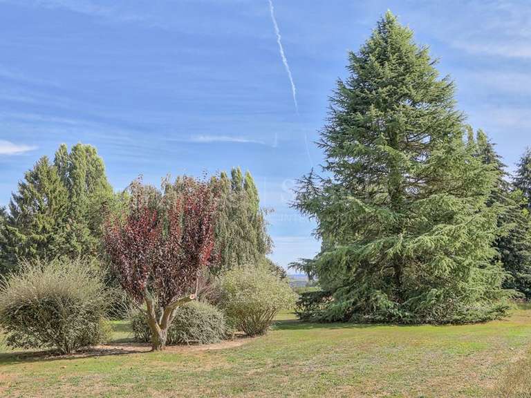 Maison Montfort-l'Amaury - 5 chambres - 450m²