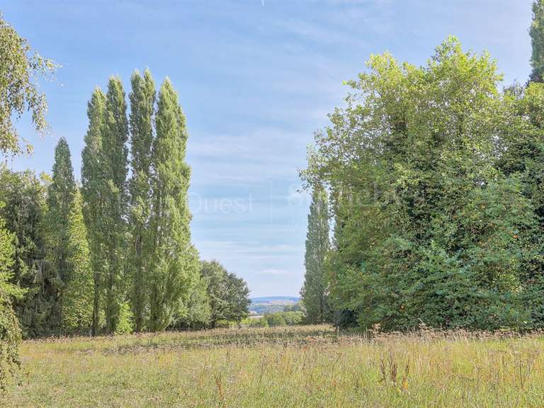 Maison Montfort-l'Amaury - 5 chambres - 450m²