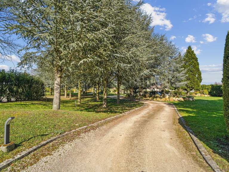 Maison Montfort-l'Amaury - 4 chambres - 345m²