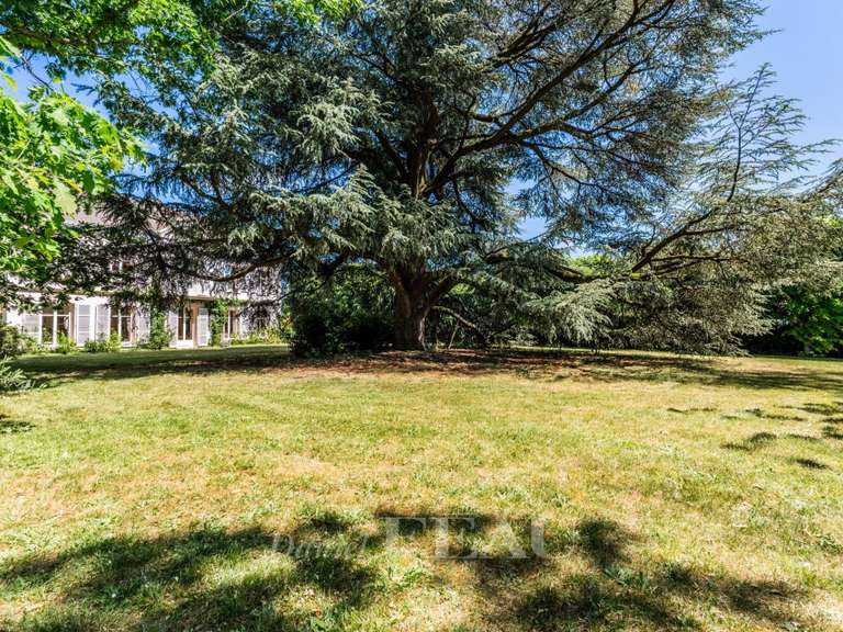 Maison Montfort-l'Amaury - 4 chambres - 300m²