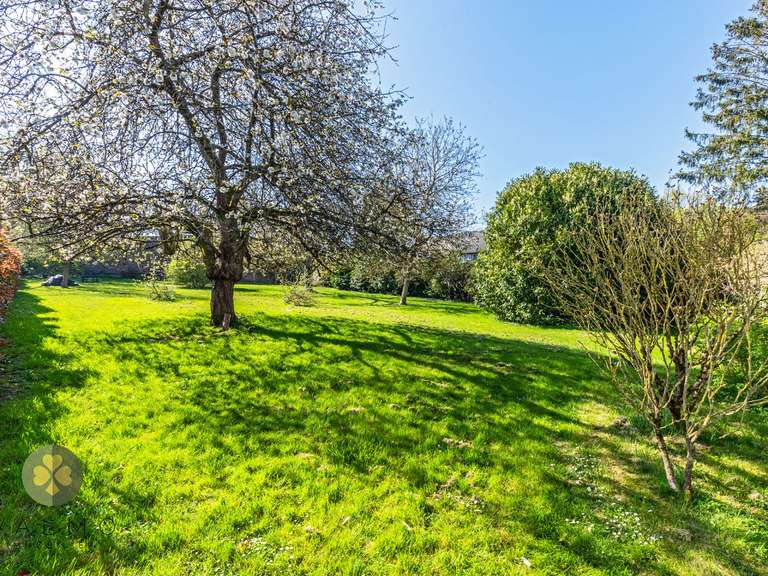 Maison Montfort-l'Amaury - 7 chambres - 350m²