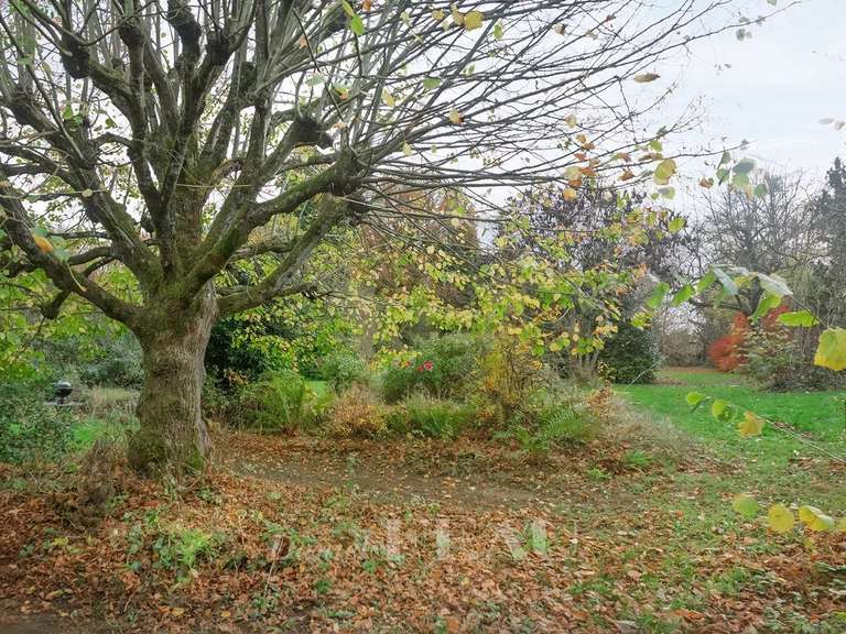 Maison Montfort-l'Amaury - 4 chambres - 191m²
