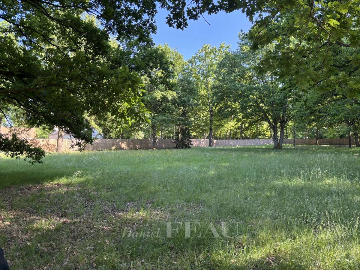 Land Montfort-l'Amaury