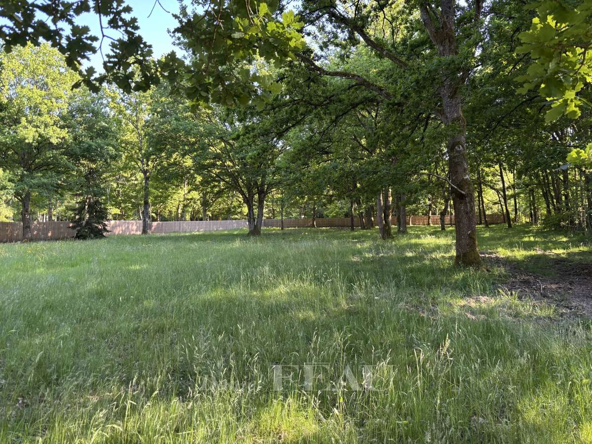 Land Montfort-l'Amaury