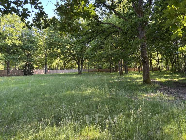 Terrain Montfort-l'Amaury - 5348m²