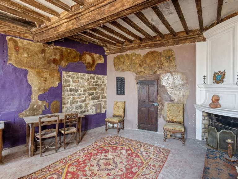 Château Montfort-sur-Argens - 10 chambres - 813m²