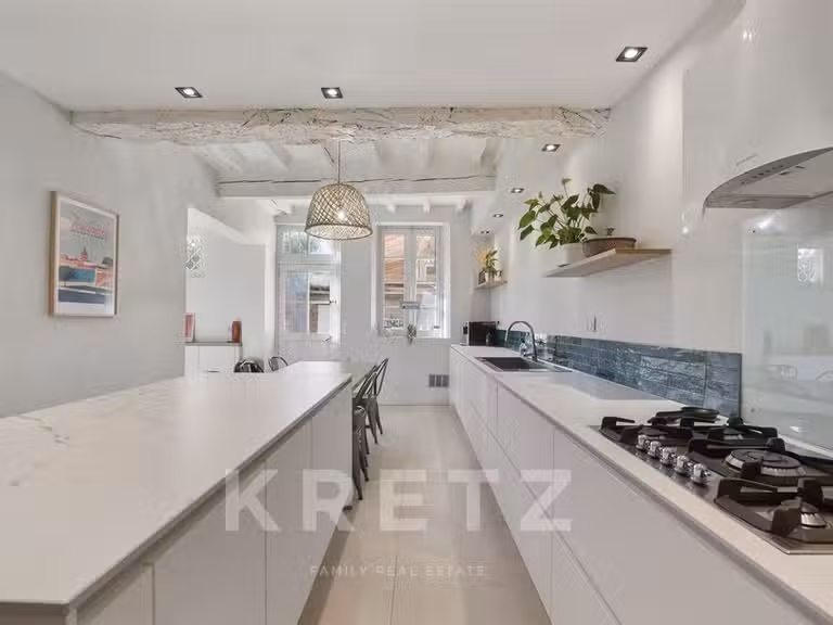 House Montgiscard - 12 bedrooms - 790m²