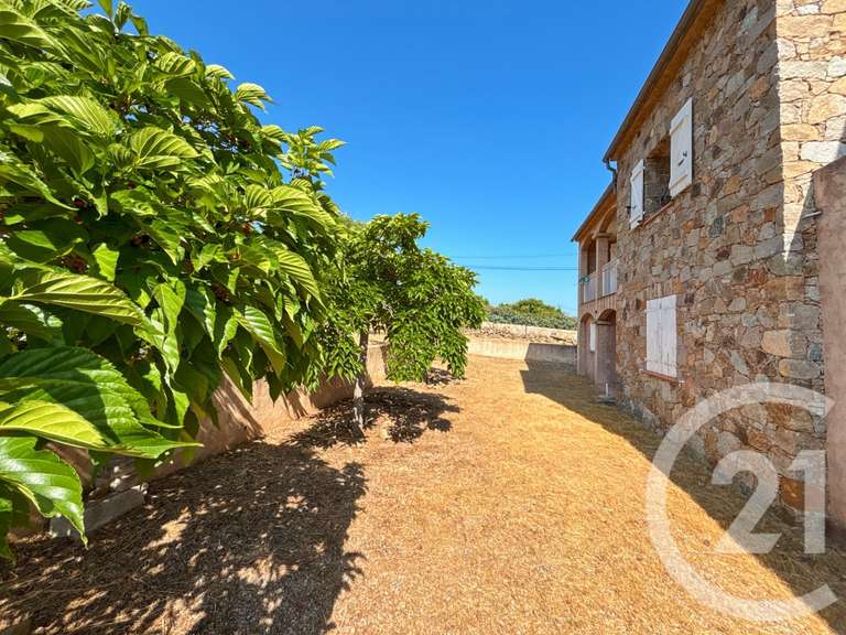 Maison Monticello - 5 chambres - 39m²