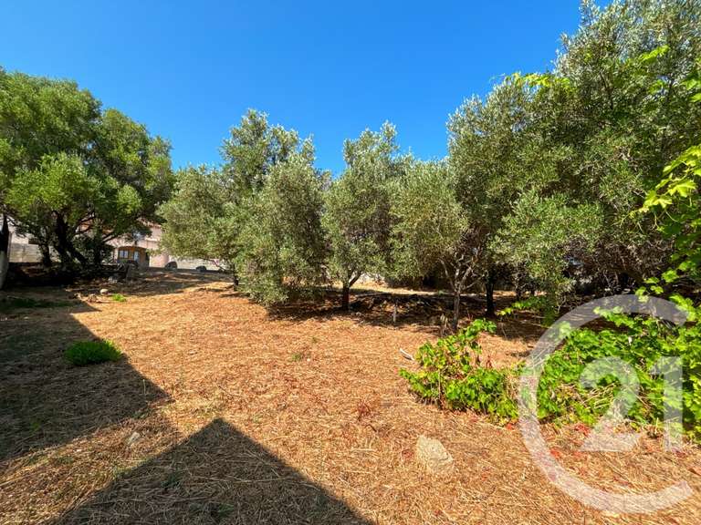 Maison Monticello - 5 chambres - 267m²