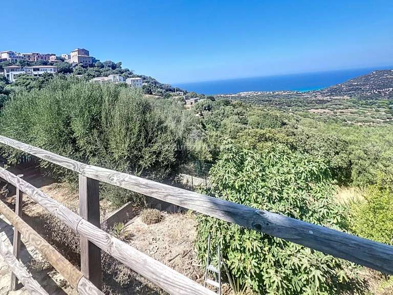 Maison Monticello - 4 chambres - 110m²