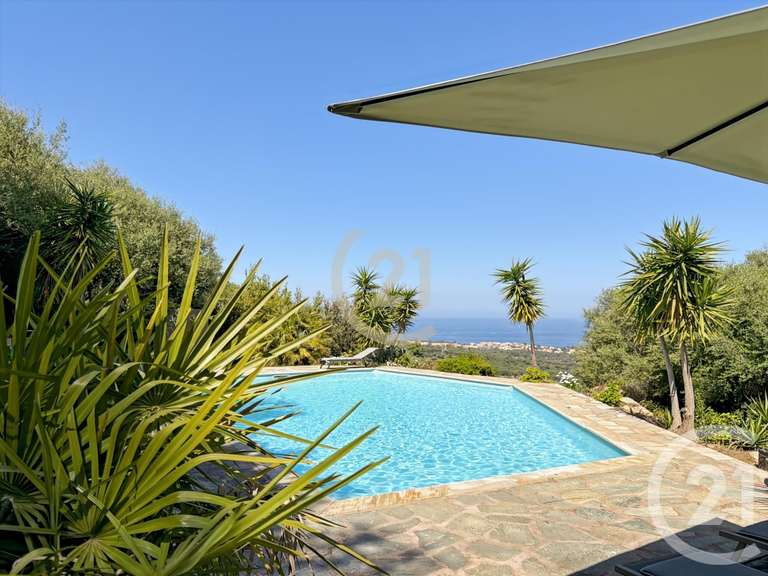 Maison avec Vue sur mer Monticello - 5 chambres - 239m²