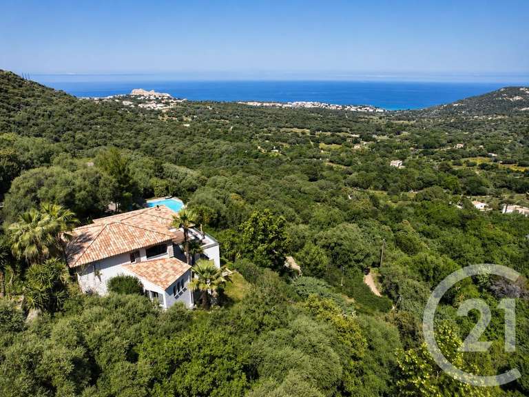 Maison avec Vue sur mer Monticello - 5 chambres - 242m²