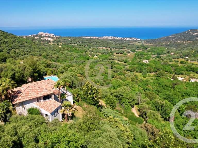 Maison avec Vue sur mer Monticello - 5 chambres - 242m²