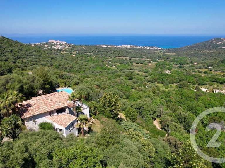 Maison Monticello - 5 chambres - 239m²