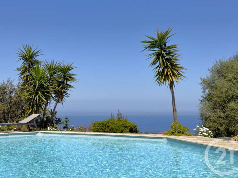 Maison Monticello - 5 chambres - 239m²