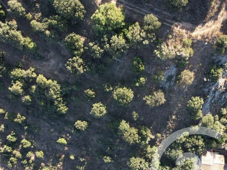 Terrain Monticello - 3502m²
