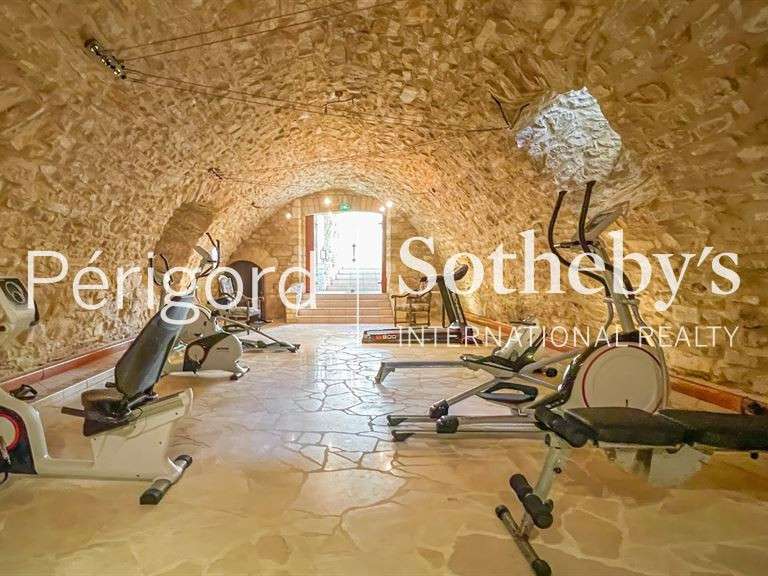 Castle Montignac - 3370m²