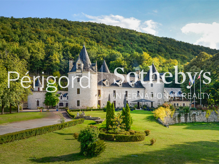 Castle Montignac - 3370m²