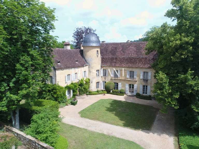 Château Montignac - 5 chambres - 450m²