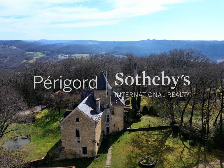 Castle Montignac - 15 bedrooms - 532m²