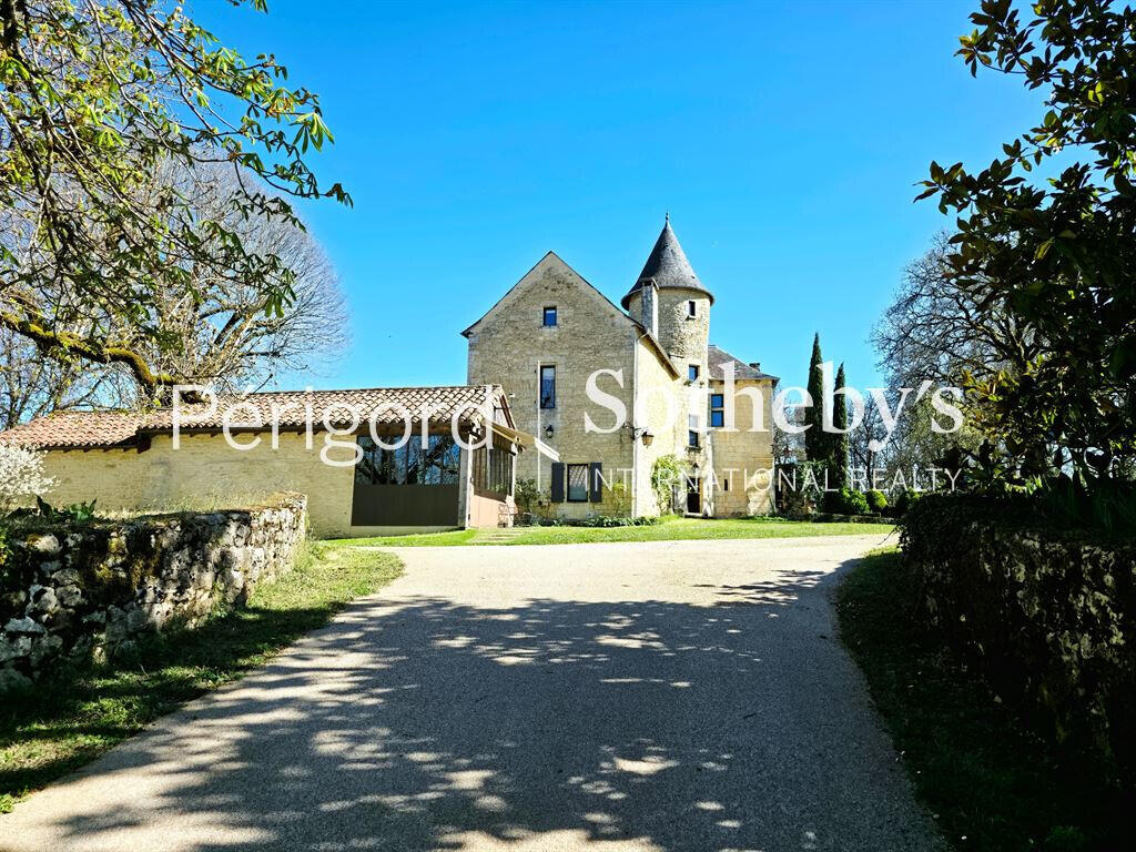 Castle Montignac