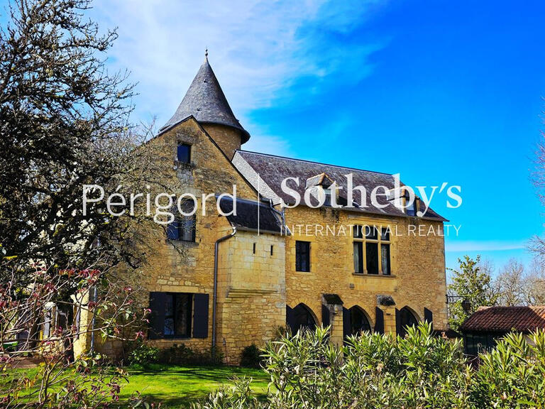 Castle Montignac - 15 bedrooms - 532m²