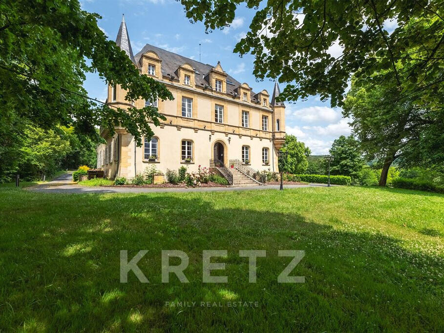 Castle Montignac