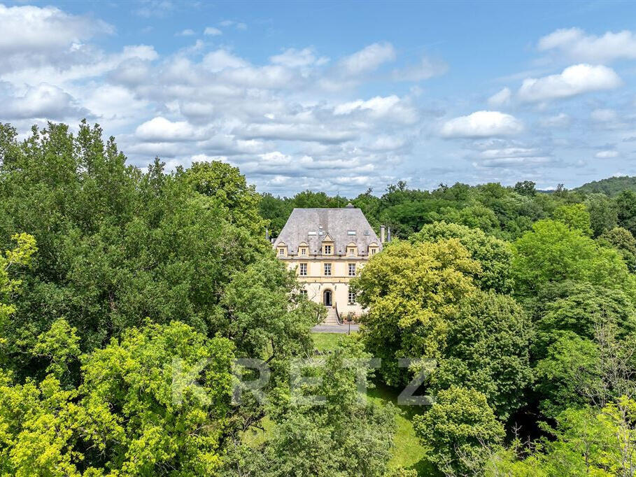 Castle Montignac