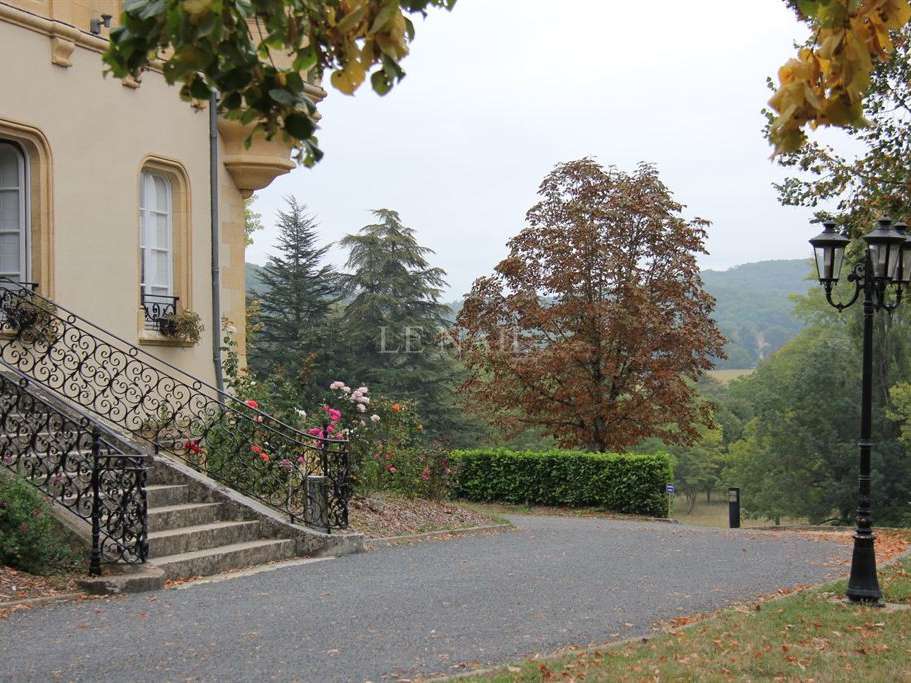 Castle Montignac