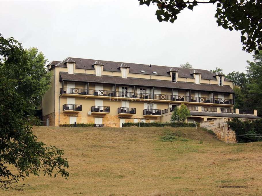 Castle Montignac