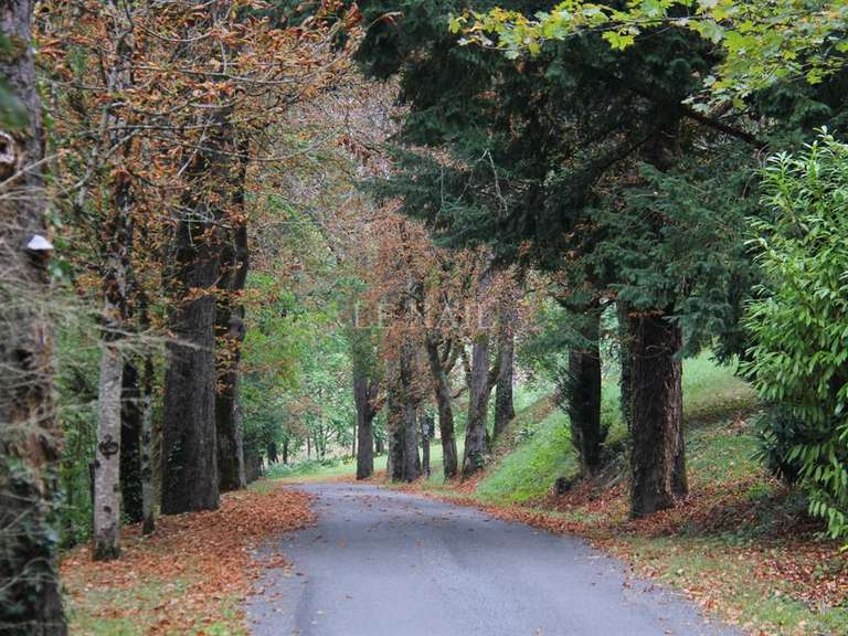 Château Montignac - 15 chambres - 1300m²