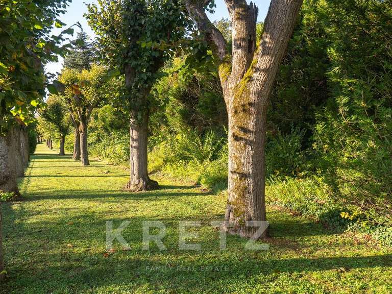 Château Montmerle-sur-Saône - 7 chambres - 1000m²