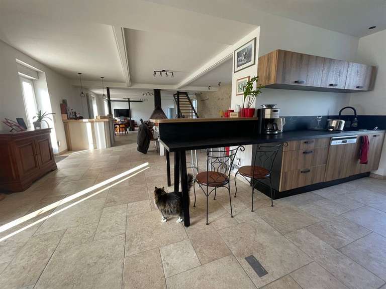 Maison Montmorillon - 5 chambres - 305m²