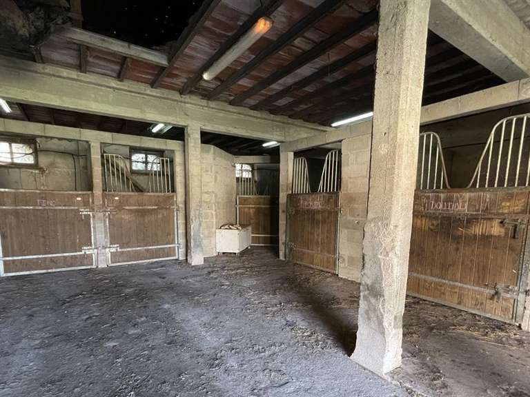 Maison Montmorillon - 5 chambres - 305m²