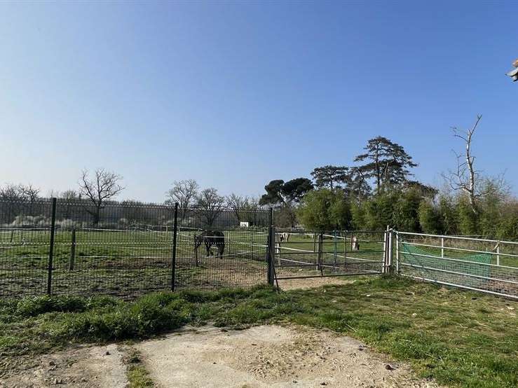 Maison Montmorillon - 5 chambres - 305m²