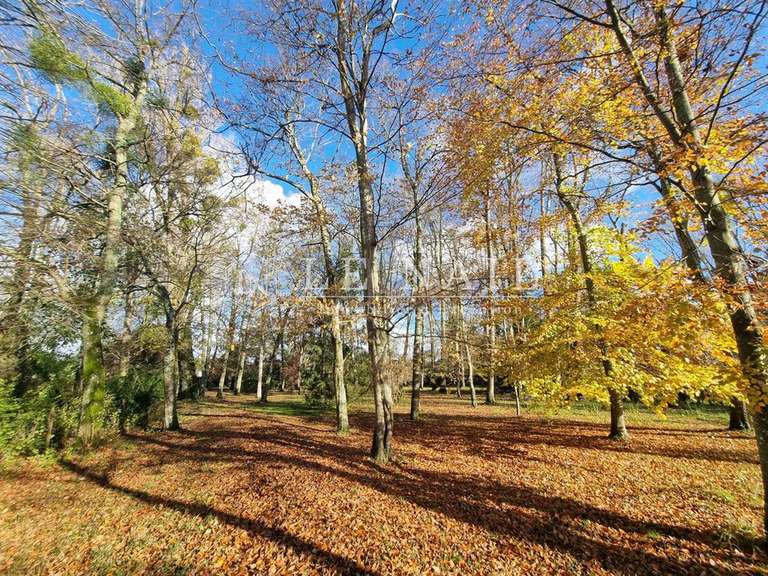 Maison Montoire-sur-le-Loir - 6 chambres - 222m²