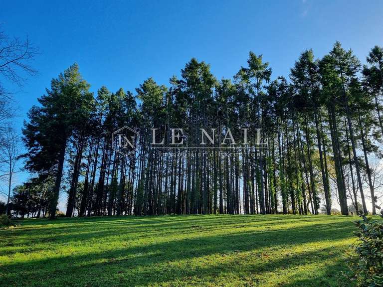 Manoir Montoire-sur-le-Loir - 3 chambres - 153m²