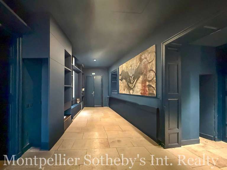 Appartement Montpellier - 228m²